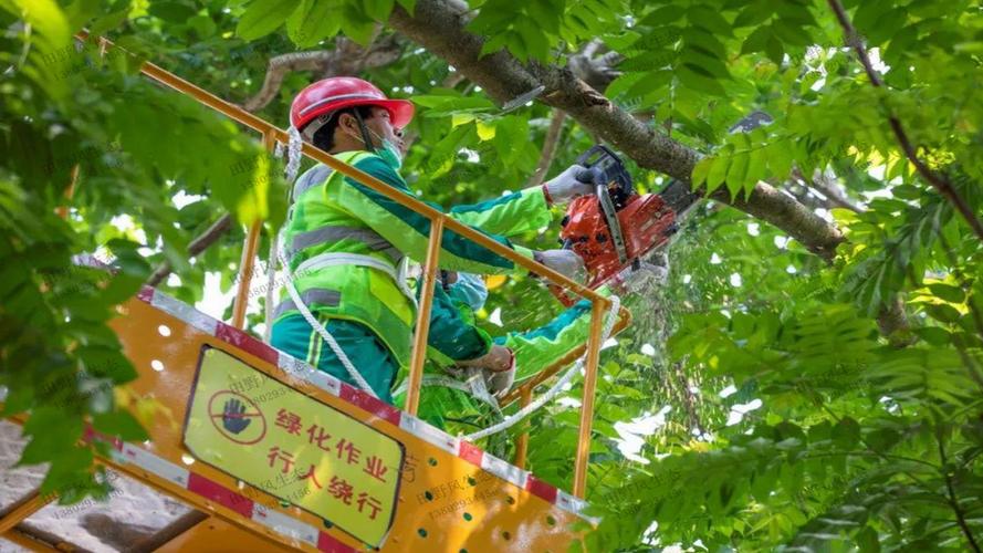 花园园林景观设计绿化要求