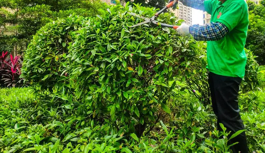 什么叫园林景观设计师